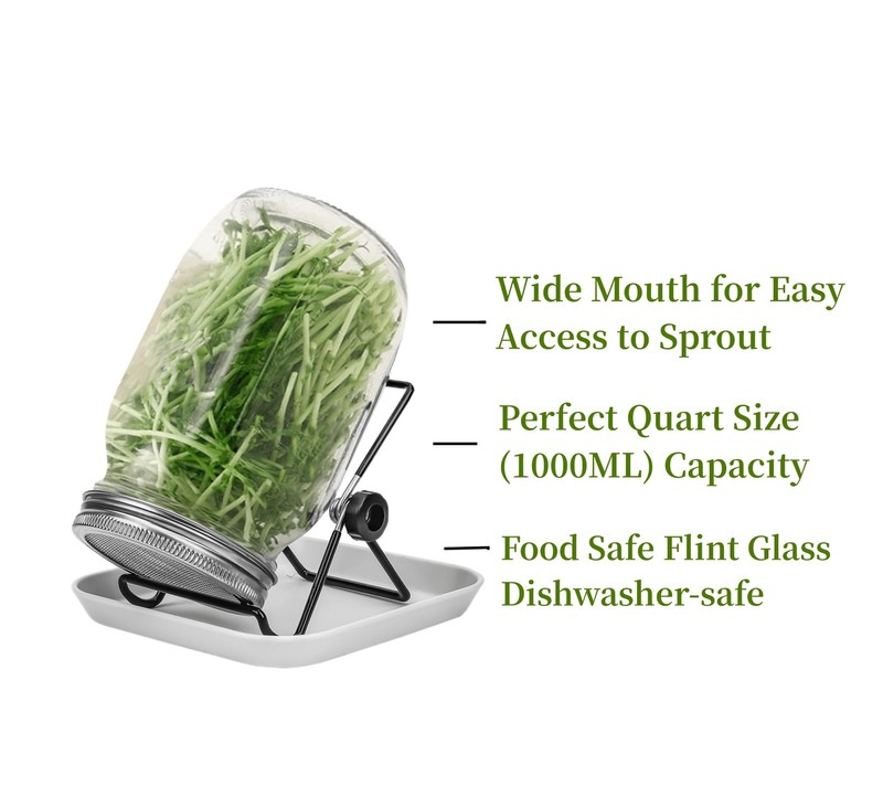 Lulonpon 2pcs Sprouts Growing Jar Kit Wide Mouth Quart Mason Jars with Stainless gallery