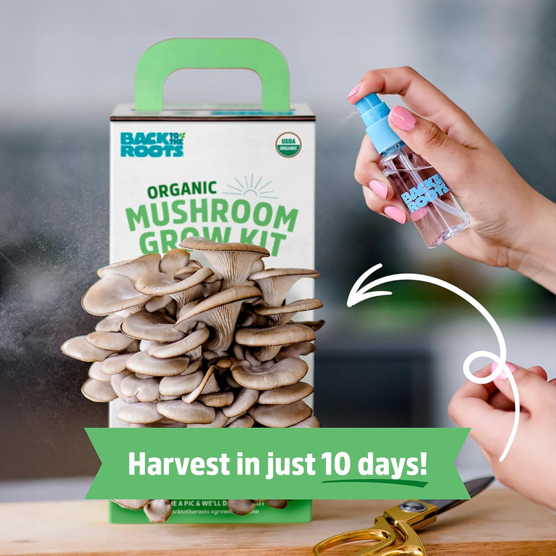 Organic Oyster Mushroom Grow Kit, Harvest Gourmet Mushrooms in 10 Days gallery